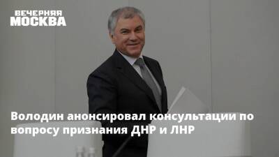 Володин анонсировал консультации по вопросу признания ДНР и ЛНР