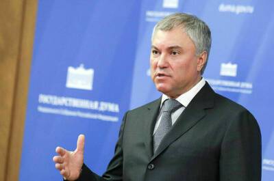Володин: нужно искать решения по обеспечению безопасности жителей ЛНР и ДНР