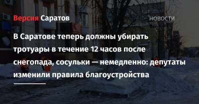 В Саратове теперь должны убирать тротуары в течение 12 часов после снегопада, сосульки — немедленно: депутаты изменили правила благоустройства