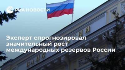 Эксперт Кучин спрогнозировал значительный рост международных резервов России в 2022 году