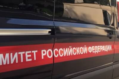 Белгородские следователи начали проверку по информации о гибели женщин в ковидном роддоме