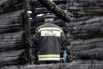 Труп пожилой женщины нашли на месте пожара в Псковском районе