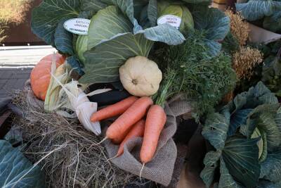 В Челябинской области за год отпускные цены на морковь выросли на 91%