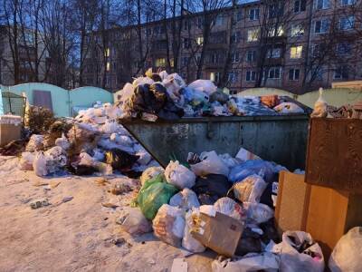 В Петербурге задержан водитель мусоровоза: его подозревают в краже контейнеров