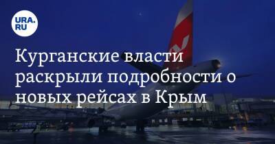 Курганские власти раскрыли подробности о новых рейсах в Крым