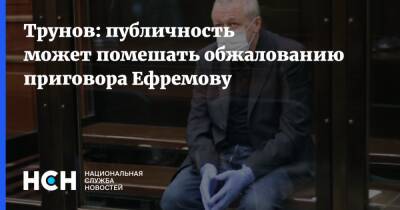 Трунов: публичность может помешать обжалованию приговора Ефремову
