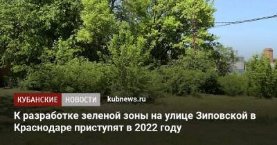 К разработке проекта зеленой зоны на улице Зиповской в Краснодаре приступят в 2022 году