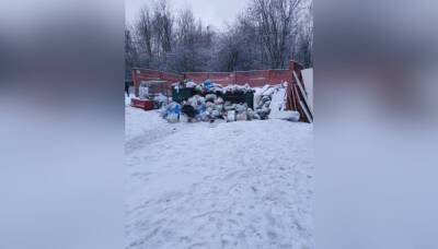 Петербуржцы продолжают жаловаться на мусорные завалы во дворах своих домов