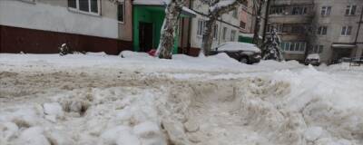 Егоров пообещал наказать виновных за плохую уборку снега в Тамбовской области