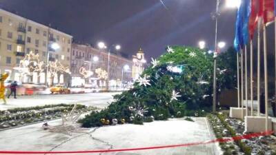 Упавшую из-за ветра главную елку Ростова у парка Горького восстановят по гарантии