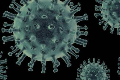 В Пензенской области еще у 205 человек выявили коронавирус за сутки