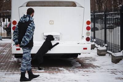 Свыше шести килограммов наркотиков изъяли нижегородские транспортные полицейские