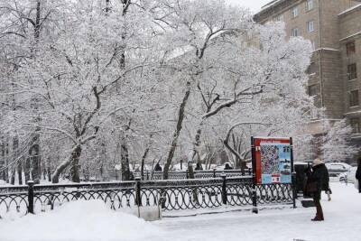 Морозная погода продержится в Новосибирской области до конца января