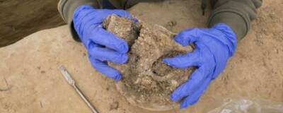 В Китае найден и реконструирован крупнейший череп возрастом примерно 200 тысяч лет