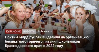 Почти 4 млрд рублей выделили на организацию бесплатного горячего питания школьников Краснодарского края в 2022 году