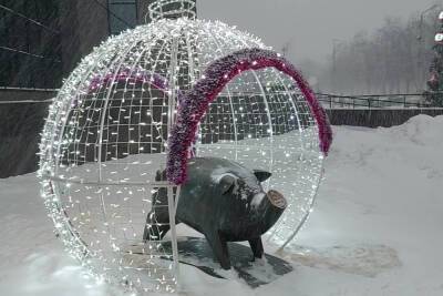 22 января в Рязанской области ожидается снег и до -10 градусов