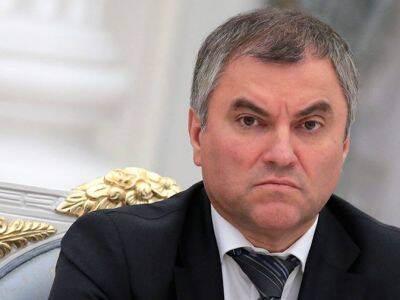 Володин анонсировал консультации о признании "ДНР" и "ЛНР"