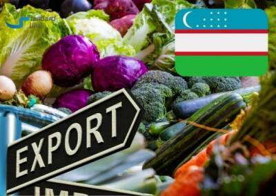 Россия подвинула Китай с первого места во внешней торговле Узбекистана