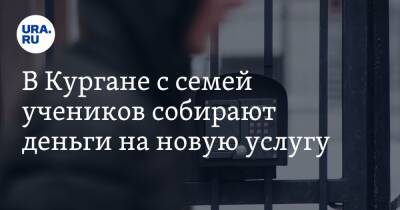 В Кургане с семей учеников собирают деньги на новую услугу. Аудио