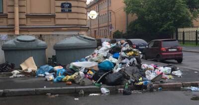 Политик Лобко: коммерческие интересы сыграли главную роль в провале мусорной реформы Петербурга