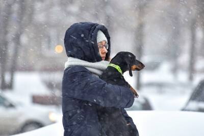Снегопады, ветер и мороз: синоптик предупредила украинцев о новом похолодании