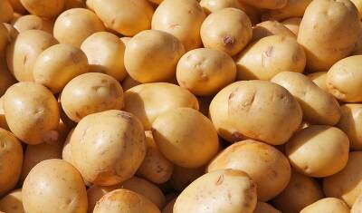 В Башкирии картошка подорожала почти в три раза за год