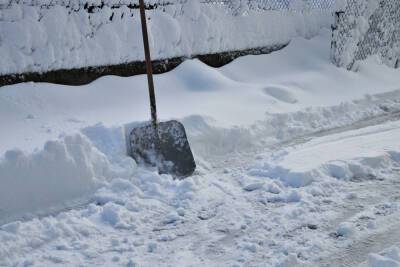 Глава Удмуртии призывает жителей выйти на субботник для расчистки снега