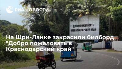 Билборд художника Сергея Овсейкина на Шри-Ланке закрасили почти сразу после появления