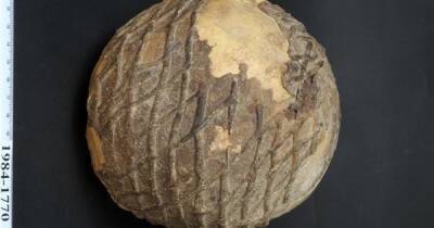 Ученые раскрыли секрет 9000-летнего черепа, украшенного асфальтом (фото)