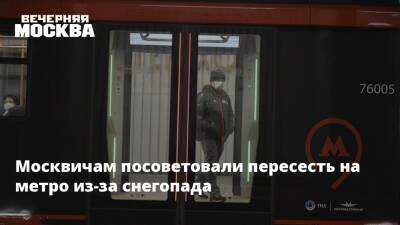 Москвичам посоветовали пересесть на метро из-за снегопада