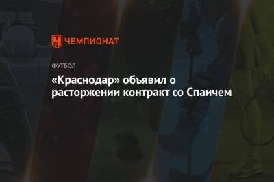 «Краснодар» объявил о расторжении контракт со Спаичем