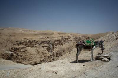 Ослабление ограничений, бедуинский террор и «злой Биби»: Израиль в фокусе