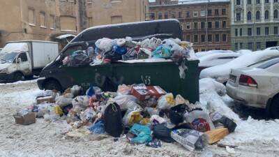 Жители трех районов Петербурга массово пишут жалобы РЭО о мусорных завалах