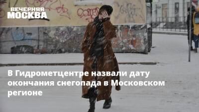 В Гидрометцентре назвали дату окончания снегопада в Московском регионе