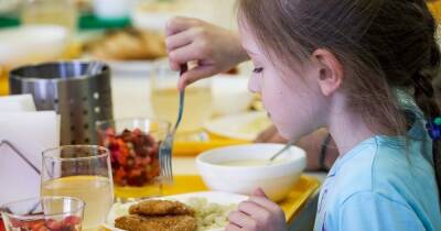 Обеды в школах и детсадах Киева подорожают: где и на сколько