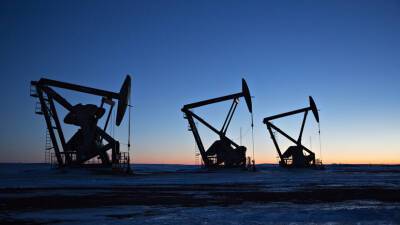 Наталья Мильчакова - Экономист Мильчакова рассказала о причинах роста цен на нефть - russian