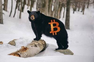«Медведи» теряют силу: в Bloomberg увидели готовность биткоина к росту