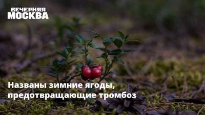 Названы зимние ягоды, предотвращающие тромбоз - vm.ru