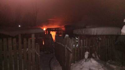 В Смоленской области в пожаре сгорели более 40 птиц