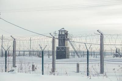 По факту пыток заключенных в саратовской колонии возбудили 20 уголовных дел