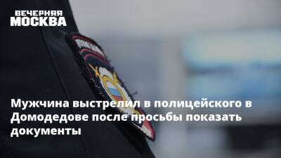 Мужчина выстрелил в полицейского в Домодедове после просьбы показать документы - vm.ru - Подольск - Того