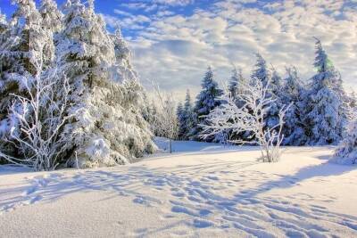 Прогноз погоды в Туле: 22 января ожидается переменная облачность и снегопад