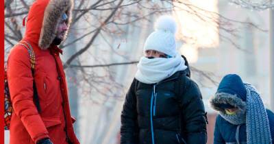 Синоптики предупредили москвичей о наступлении "кульминации зимы"