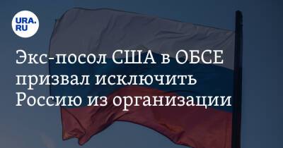 Владимир Зеленский - Владимир Путин - Сергей Лавров - Джеймс Гилмор - Грегори Микс - Экс-посол США в ОБСЕ призвал исключить Россию из организации - ura.news - Москва - Россия - США - Украина - Киев - Белоруссия