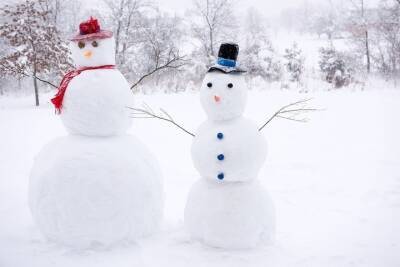 ТГУ завершает прием заявок на конкурс научных снеговиков