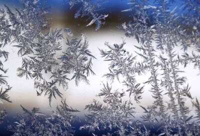 В Петербурге ожидается резкое похолодание вечером 22 января