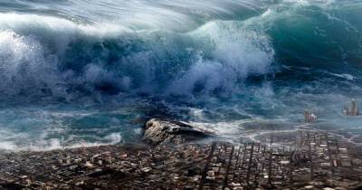 "Реальный Аквамен" рассказал, как выжил при цунами и сутки плыл к суше