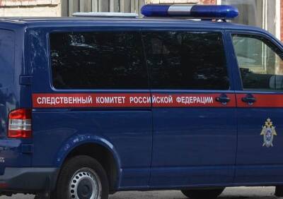 В Омской области неизвестный убил супругов и их 10-летнюю дочь