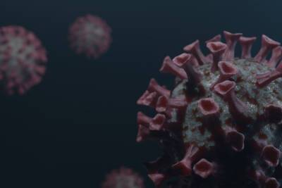 Еще 473 заболевших коронавирусом выявлено на 22 января