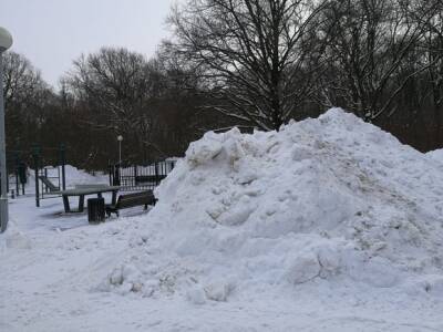 В Москве высота снежного покрова достигла максимума за зиму
